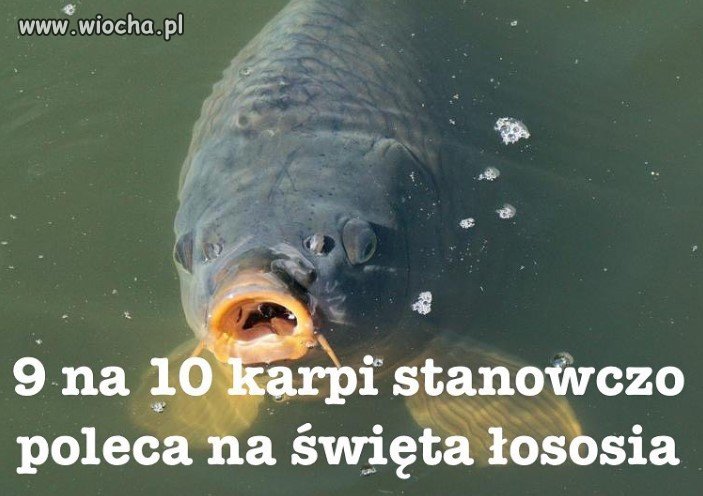 Taki tam sondaż