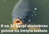 Taki tam sondaż