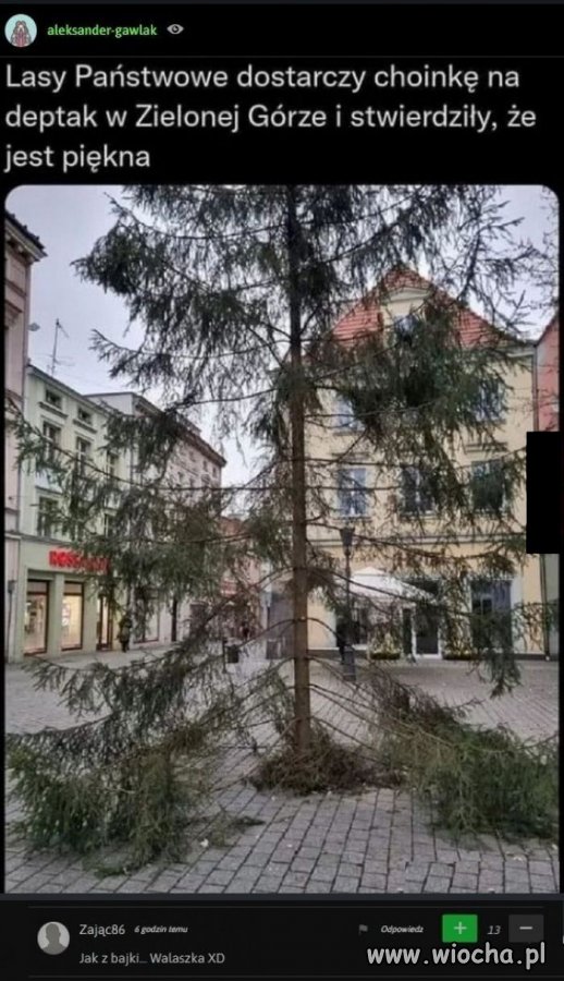 Święta na bogato