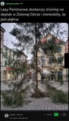Święta na bogato