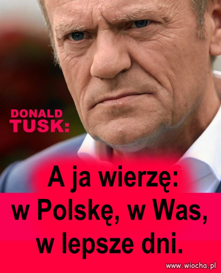 Czekamy, jeszcze chwilunia. Krwawe odrywanie świń od koryta, 