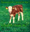 Świąteczna piosenka