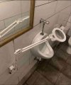 Dla wszystkich samców