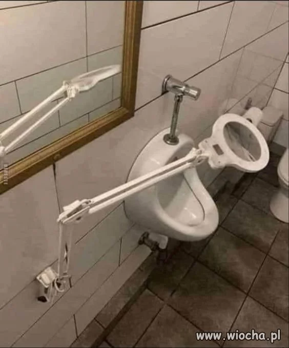 Dla wszystkich samców