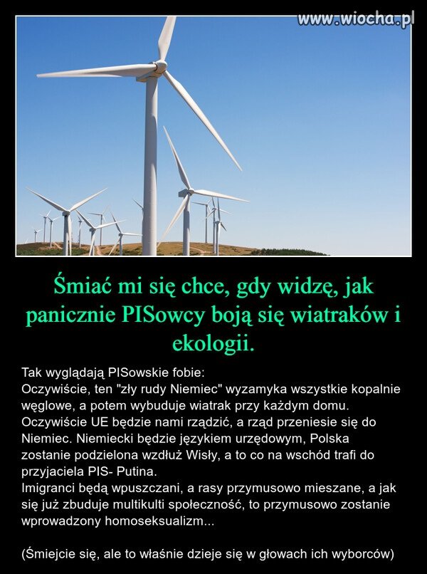 Bo PiSowcy to idioci ...