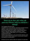 Bo PiSowcy to idioci ...