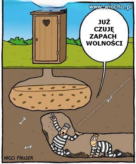 Wolność.
