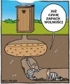 Wolność.
