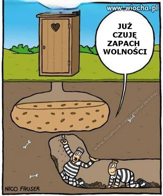 Wolność.