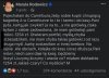 Przygody milionerki w Carrefourze 