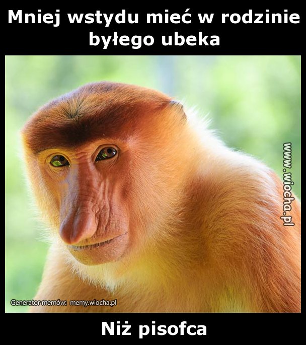 Mniej wstydu mieć w rodzinie byłego ubeka