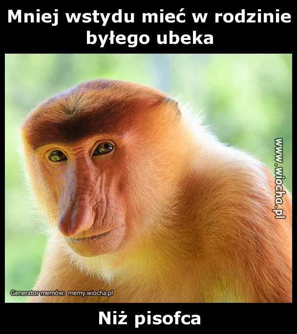 Mniej wstydu mieć w rodzinie byłego ubeka