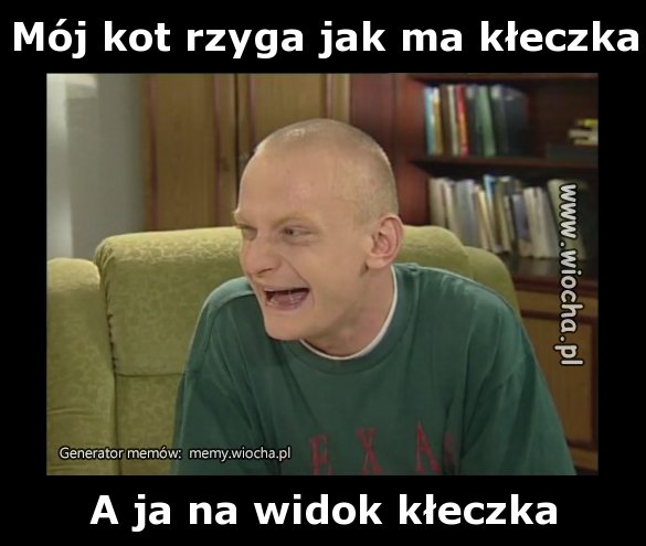 Mój kot rzyga jak ma kłeczka