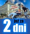 Na gnojówce powinni go wywieźć wraz z resztą złodziejskiej ekipy