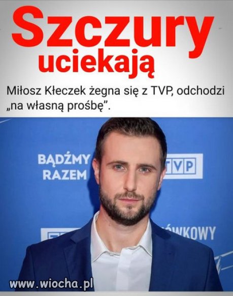Kłeczek - rozliczymy cię za knucie i szczucie!