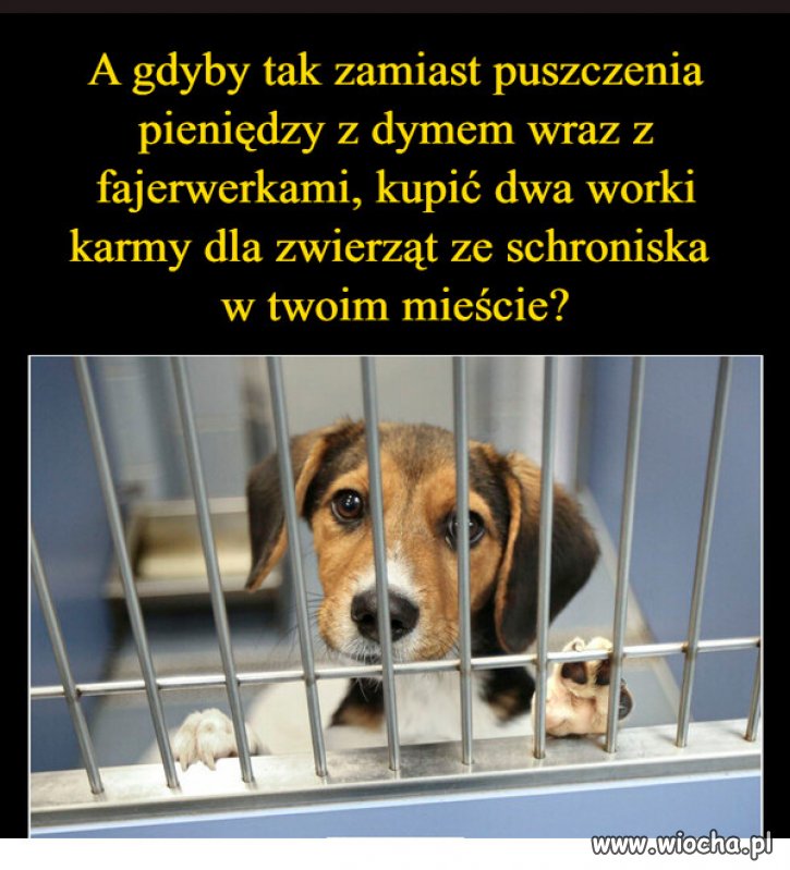 Macie jeszcze kilka dni na przemyślenie...
