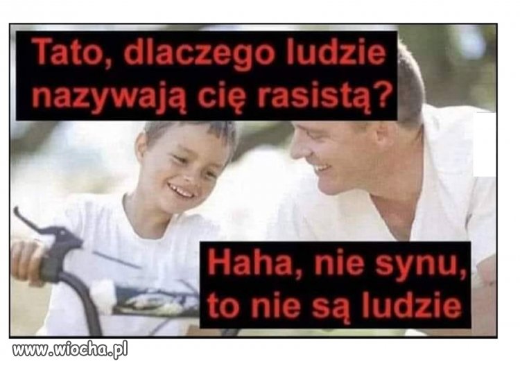 Coś w tym jest