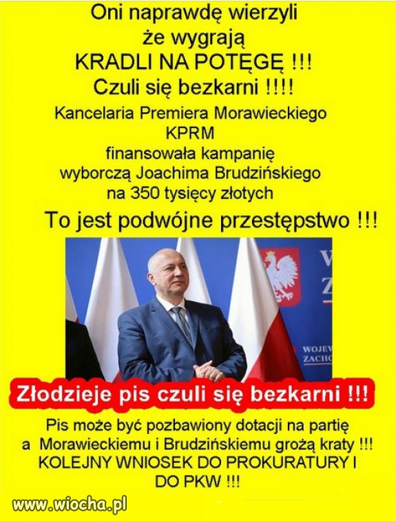 Byli pewni, na 100% pisowska mafia! Uwierzyli w propagande!