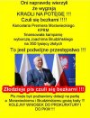 Byli pewni, na 100% pisowska mafia! Uwierzyli w propagande!
