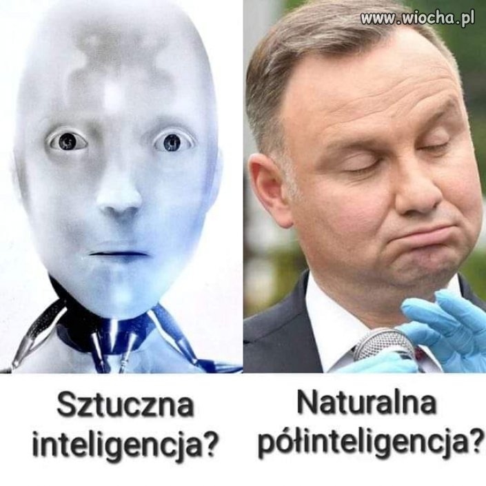 Co wybierasz ?