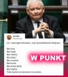 Tylko łupież na marynarce mu został...i strach w oczach!