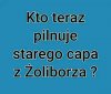 Słyszałam, że mają tam ołtarze mobilne podstawić