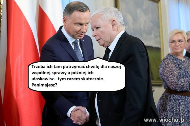 Plan PIS na podbicie słupków sondażowych