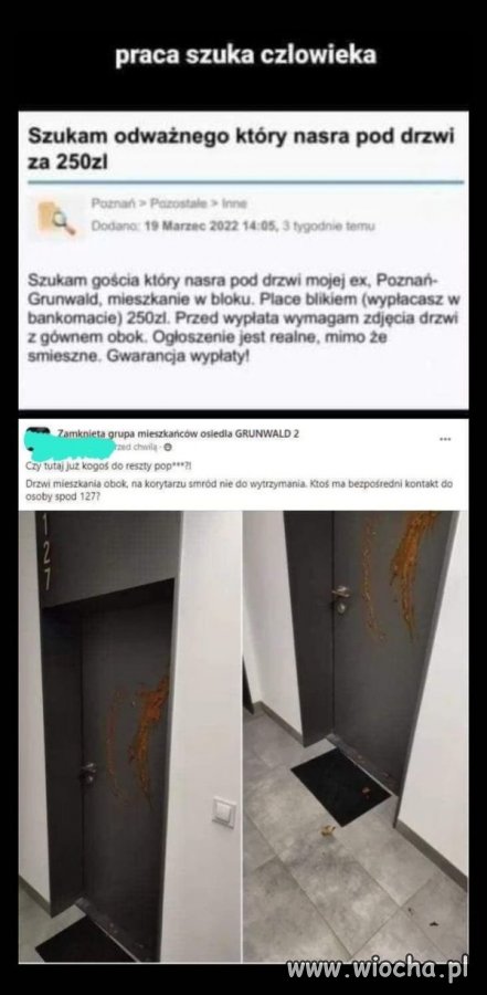 Podobno, żadna praca nie hańbi.