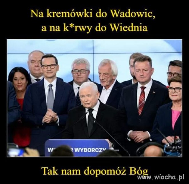 Te pisiory to wiedzą dokąd jechać. Najważniejsze,