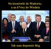 Te pisiory to wiedzą dokąd jechać. Najważniejsze,