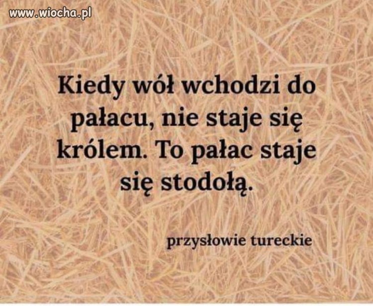 Trafne 