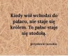 Trafne 
