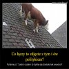 Pamietacie? Im kto glupszy, tym wyzsze stanowisko w PiSie!