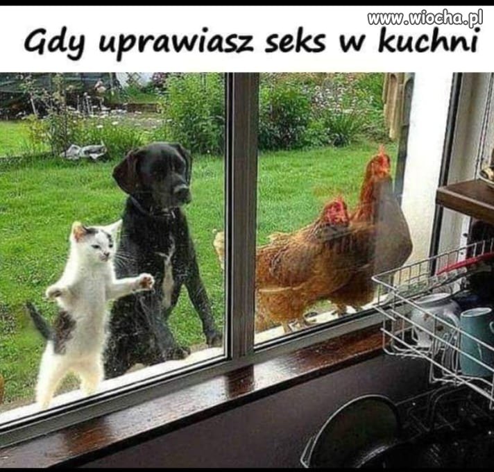 Oni są zdziwieni.