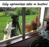 Oni są zdziwieni.