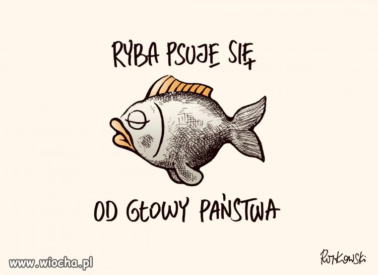 Nic dodać, nic ująć ...