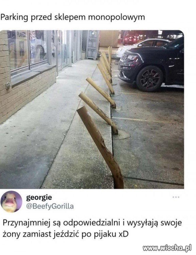 Motoryzacyjny sucharek