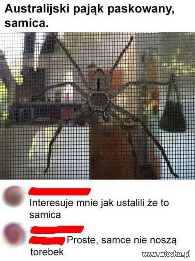 Ale nie ma telefonu