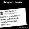 W Pisie, komu trzeba to podsyła się Oskarka ...