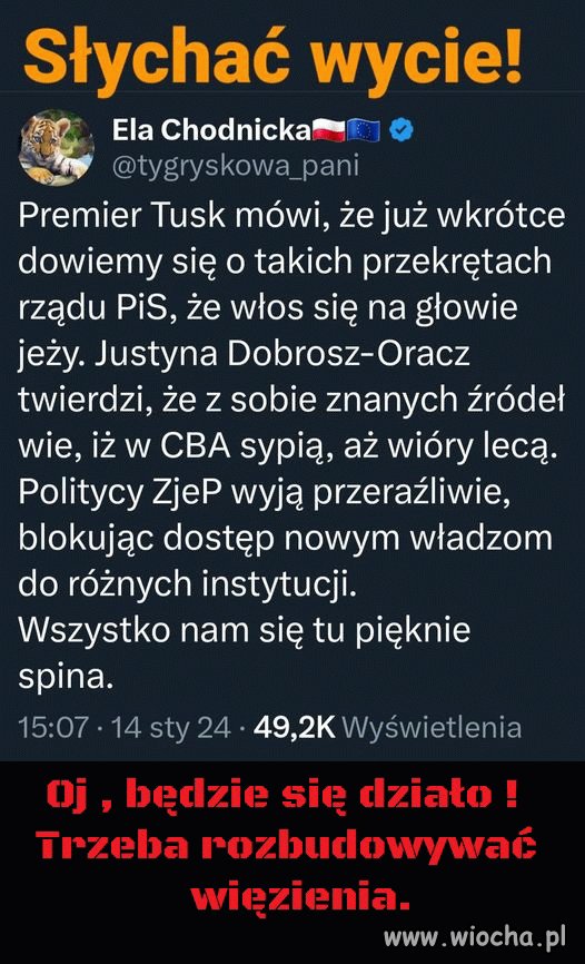 Nie dadzą Nam się nudzić