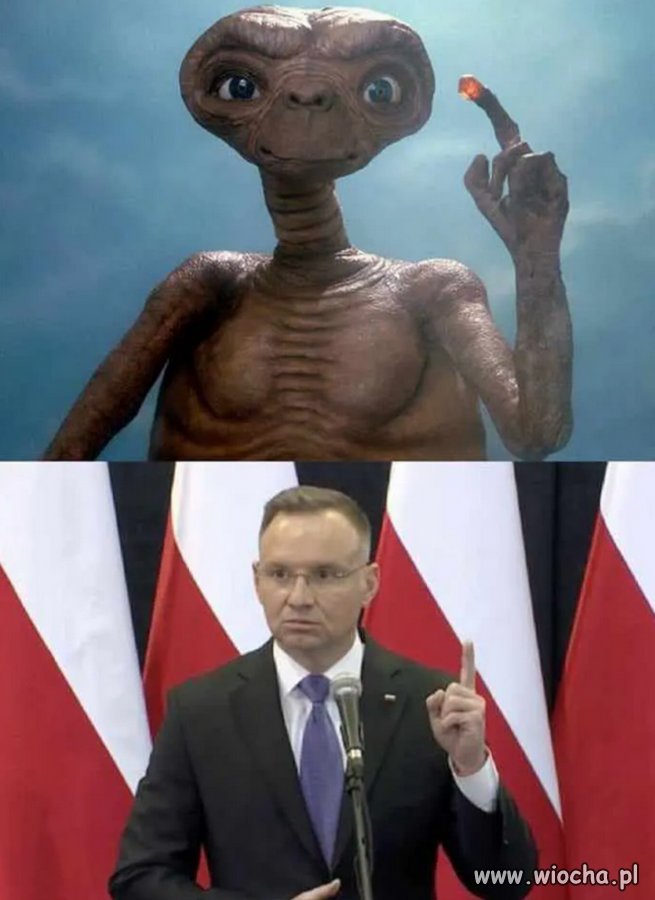 Dosyć "terroru praworządności"...