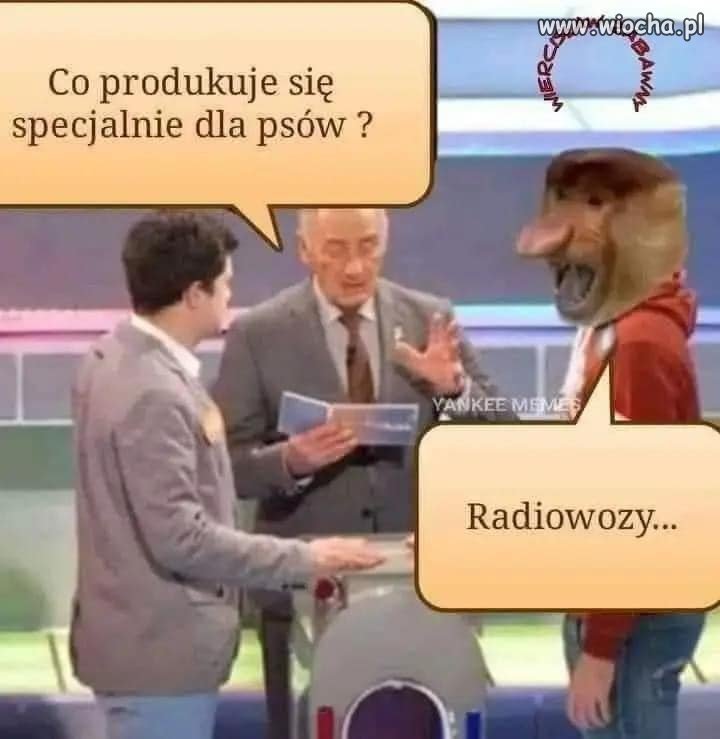 Nieznam się