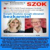Wykorzystanie instytucji prawnej dla ochrony kolegów, 