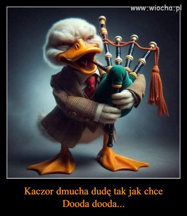 I to jest nieszczęście Polski na jeszcze 1,5 roku 