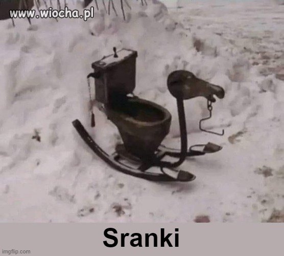 Słownik języka polskiego