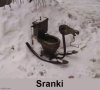 Słownik języka polskiego
