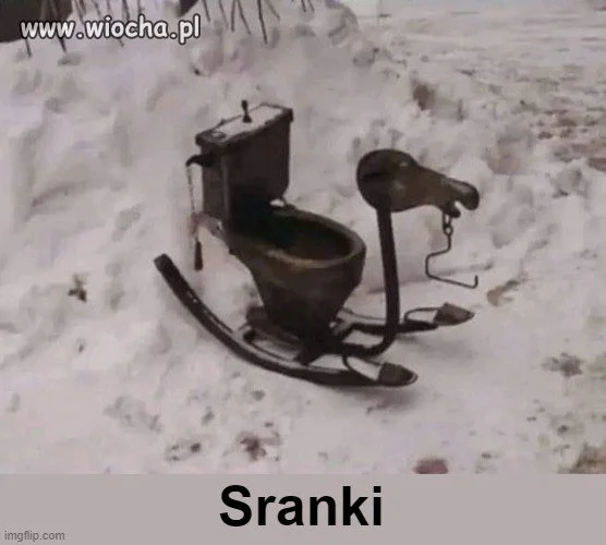 Słownik języka polskiego