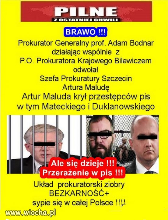 Żadnej litości dla mafi pisowskiej.