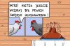 Kogut myślał o niedzieli...