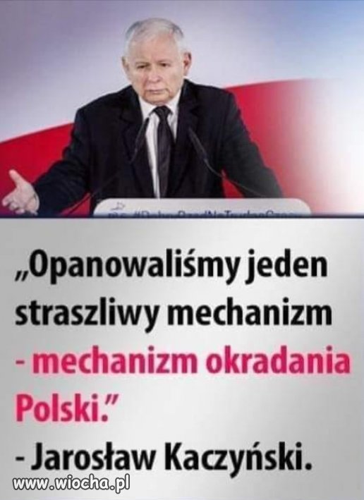 Kłamać i kraść, taki był program "polityczny" PiSu